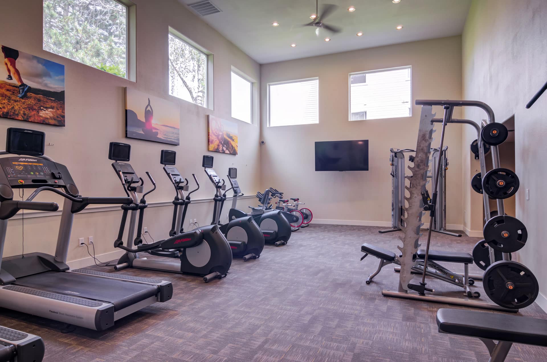 Fitness center with free weights and cardio machines.